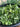 I like it Raw full Day of Raw Vegan Food